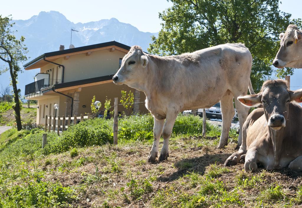 Agriturismo Al Franet Tremosine Екстериор снимка