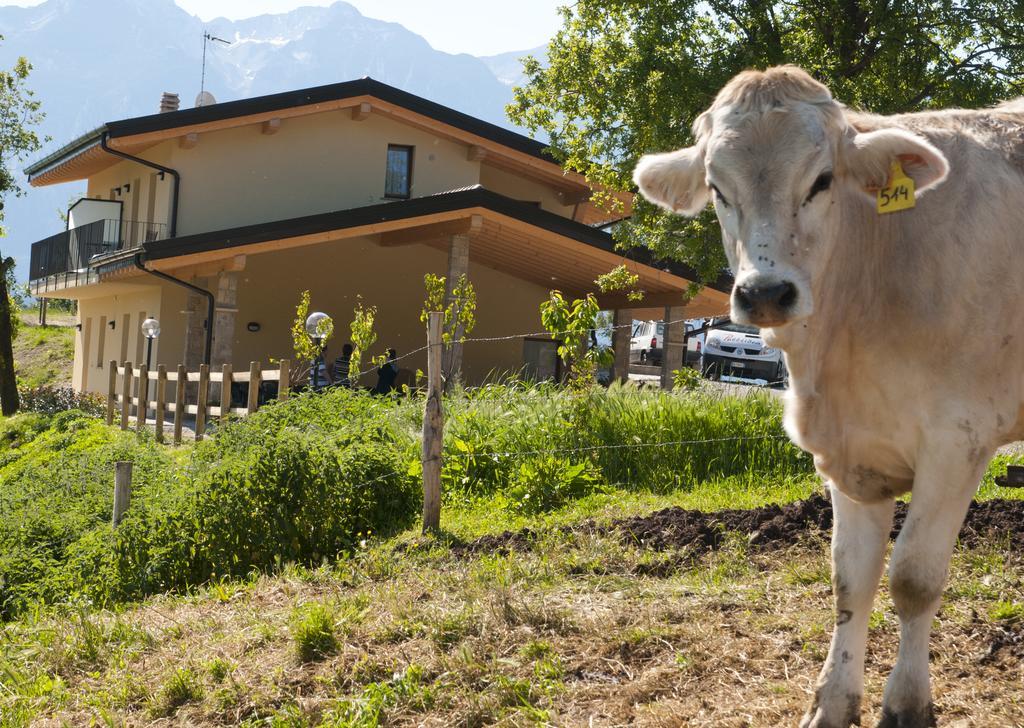 Agriturismo Al Franet Tremosine Екстериор снимка